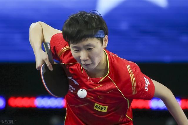 的带领下 的带领下