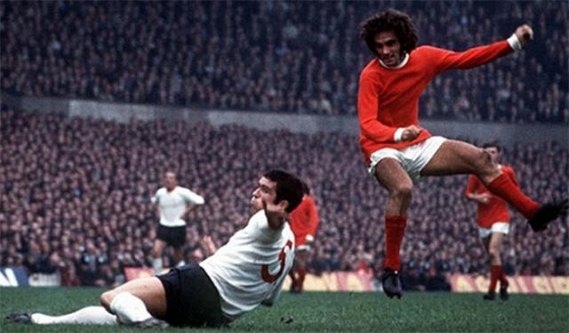 视他对多元 视他对多元