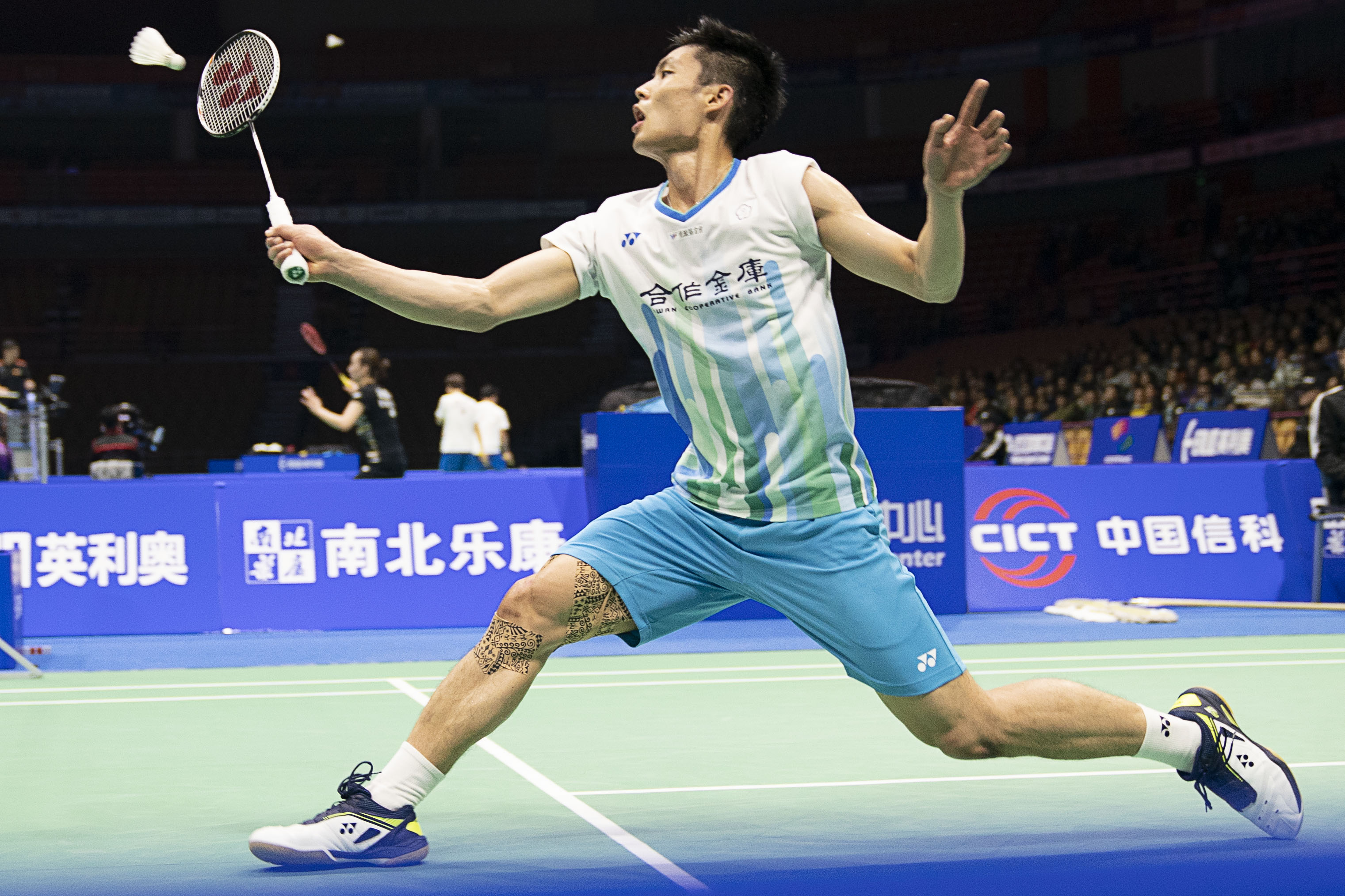 他们或许会 他们或许会