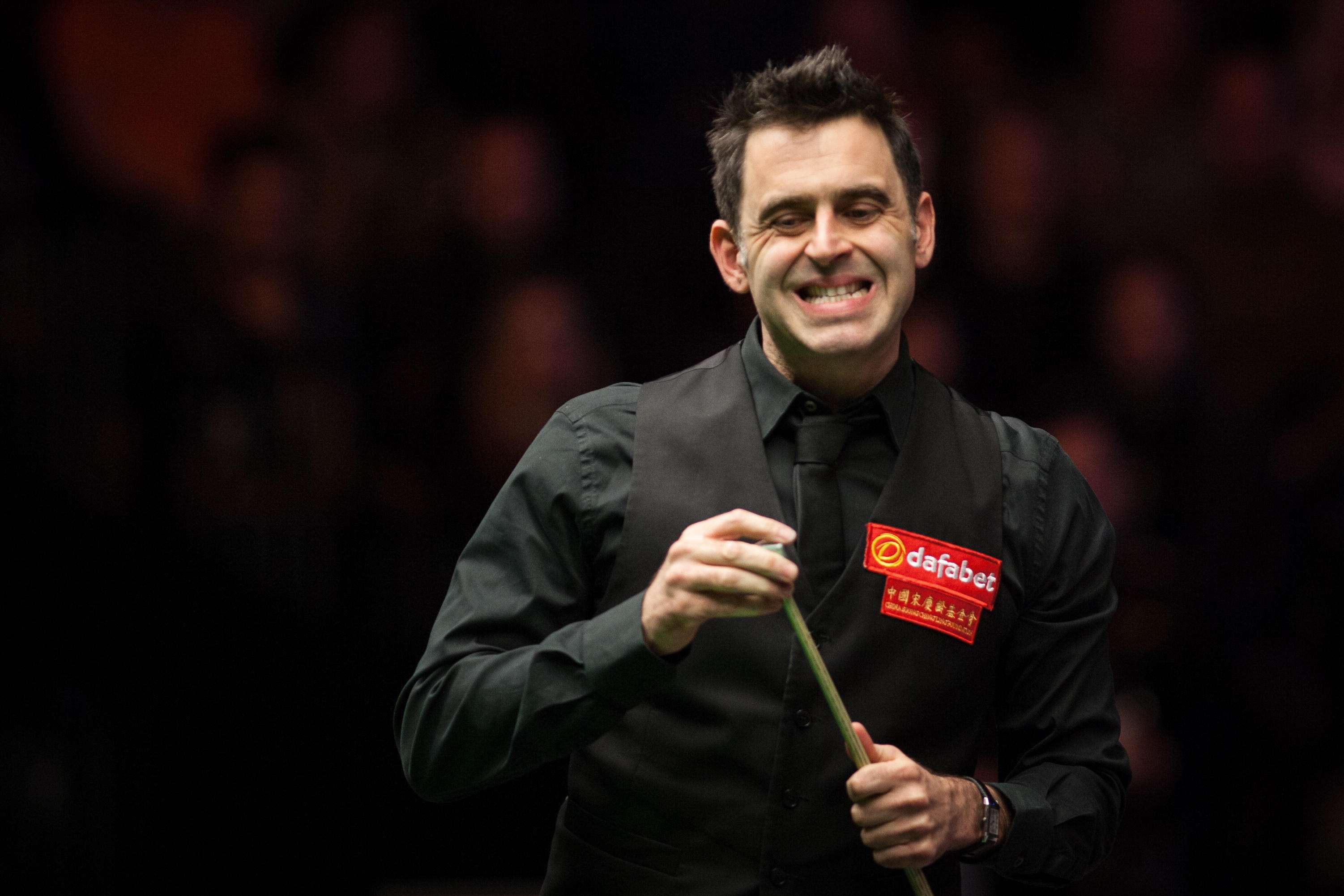 球迷对球队 球迷对球队